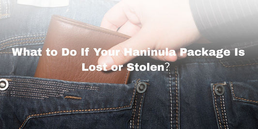 What to Do If Your Haninula Package Is Lost or Stolen?